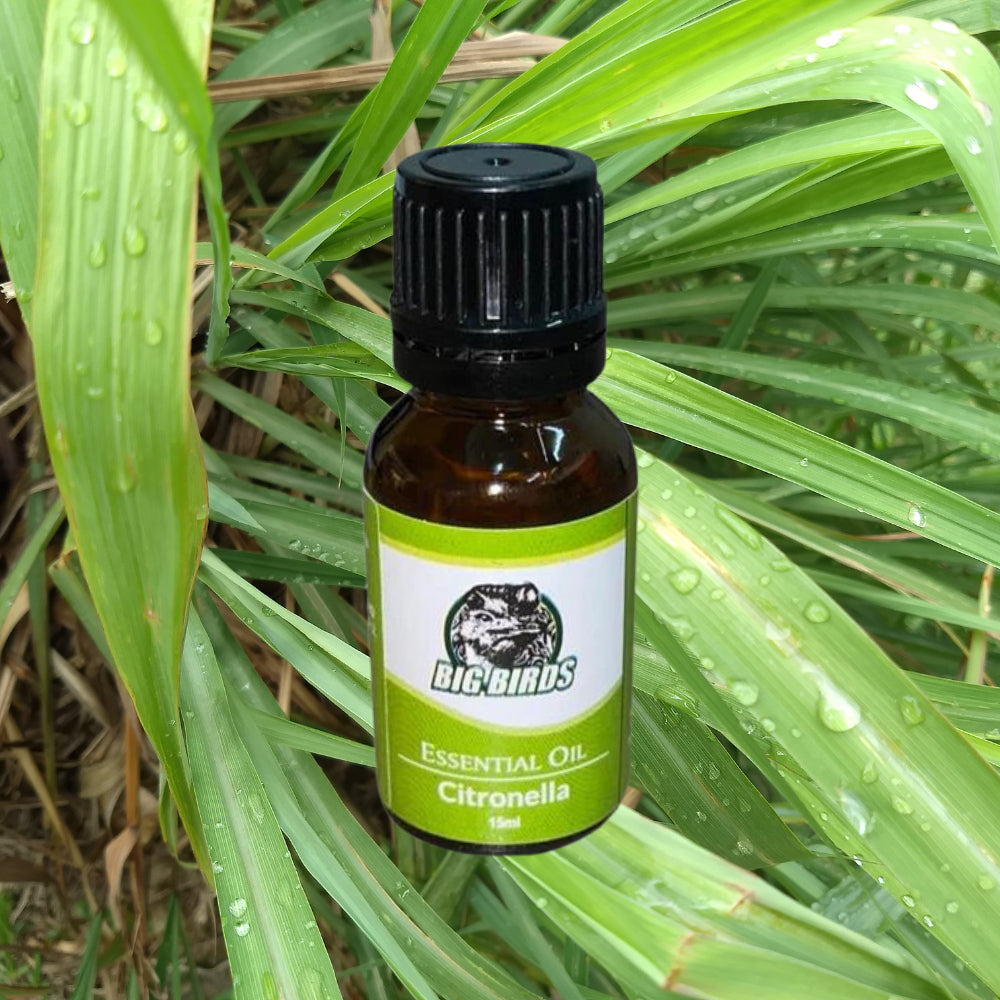 ESSENTIAL OIL CITRONELLA