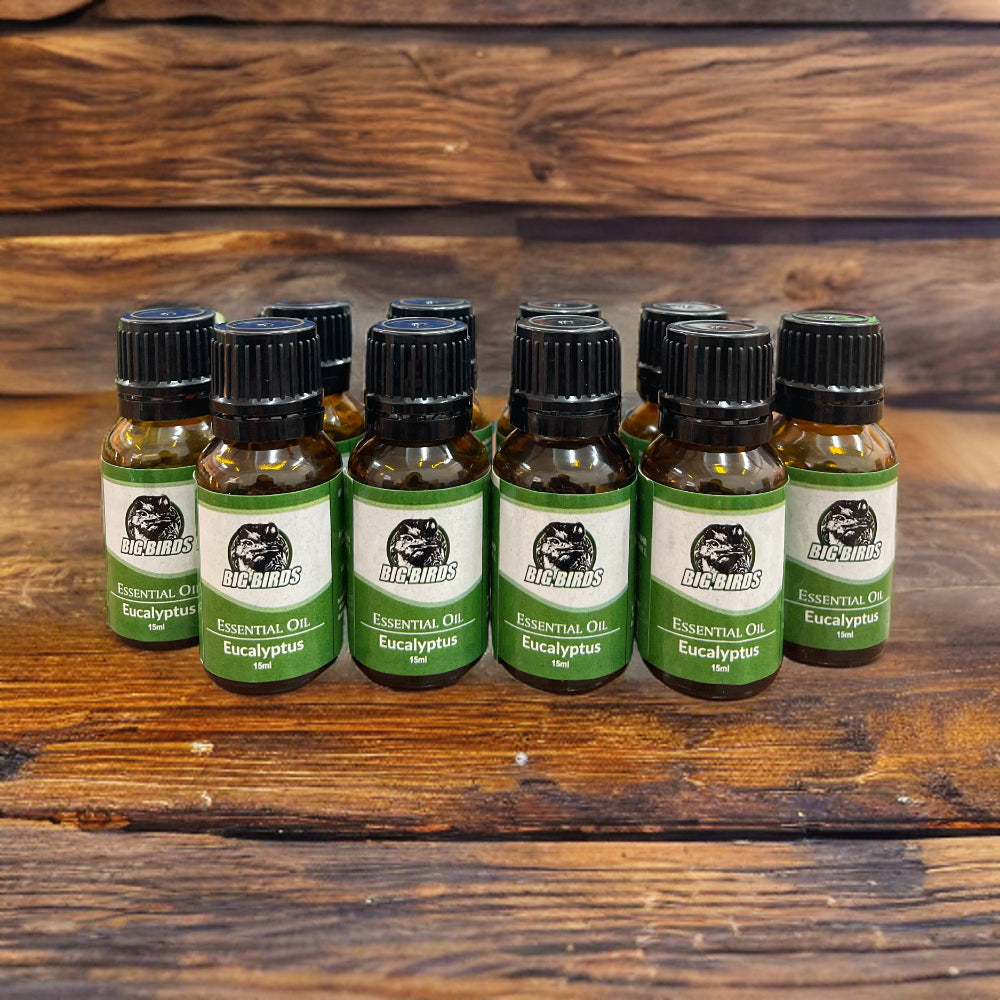 ESSENTIAL OIL EUCALYPTUS 15ML X 10 BOTTLE